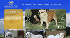Desktop Screenshot of bulldogingles.cl