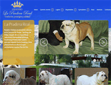 Tablet Screenshot of bulldogingles.cl